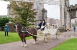 A very popular carriage on the day - perhaps the enclosed carriage helped!!