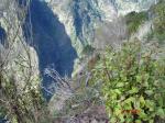 Nuns Valley ... literally where the Nuns of Funchal would hide to escape Pirates in the 16th Century
