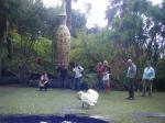The largest vase in the world situated in Monte Palace Gardens