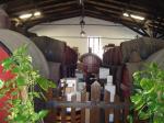D'Oliveiras Wine Cellar