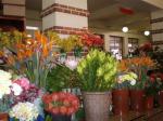 Funchal Market