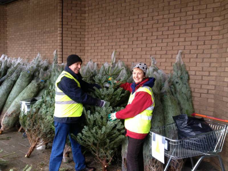 Bethany Trust Caring Christmas Trees 2013 - 