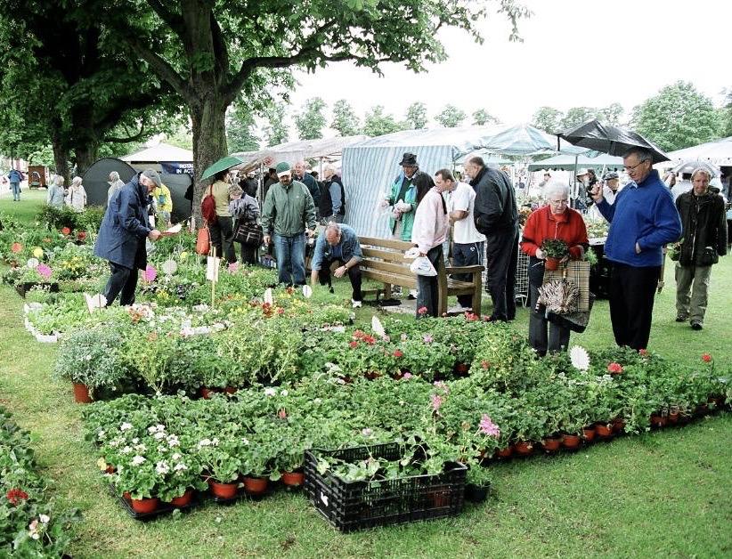 Our plant stall