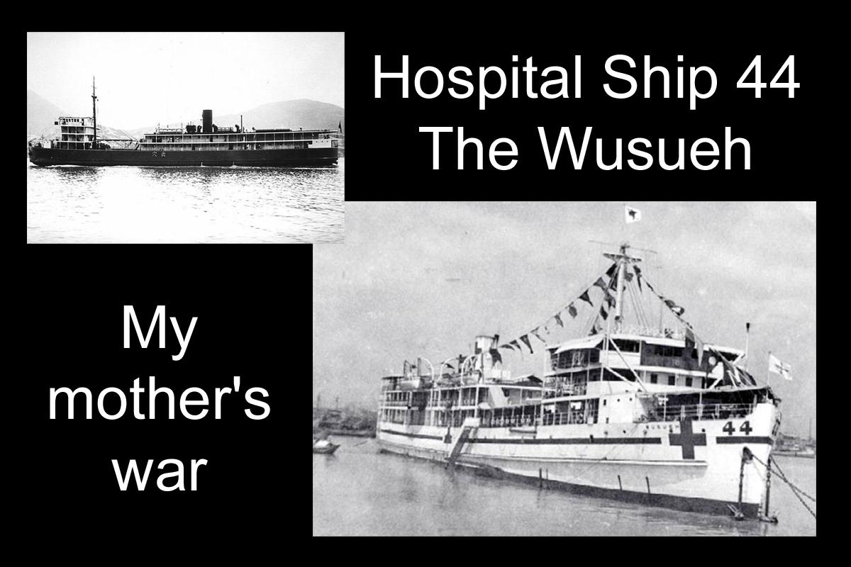 Hospital Ship 44