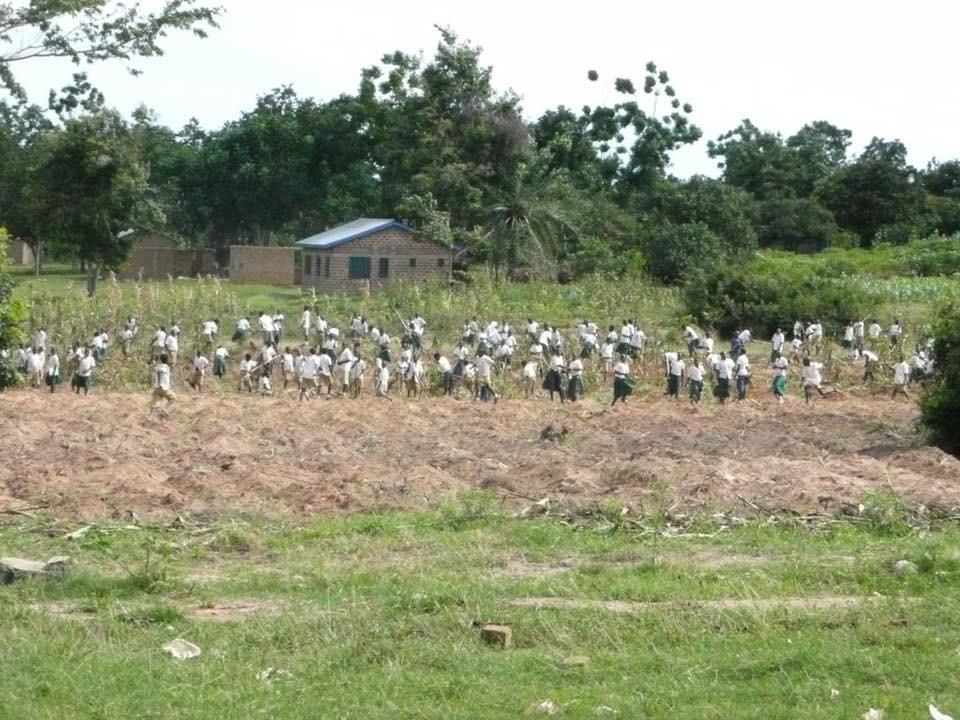 Food Tanzania