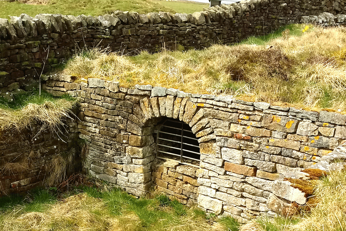 A side entrance to the flue