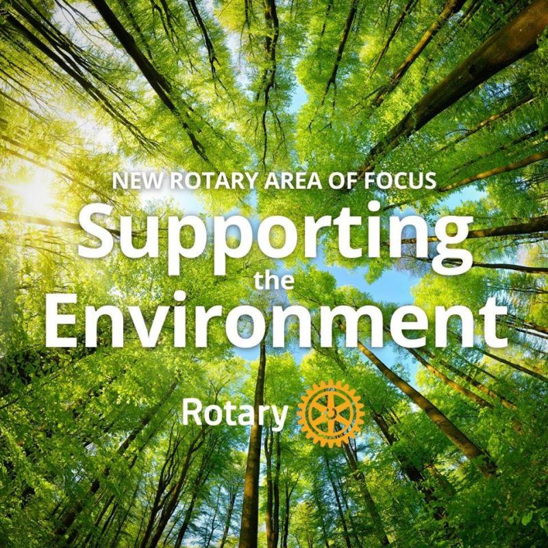 The Environment