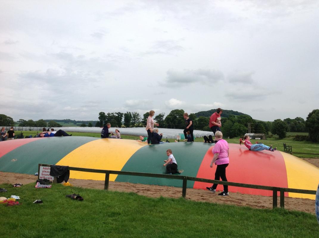 Bouncy castle