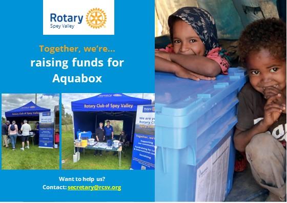Rotarians in Action