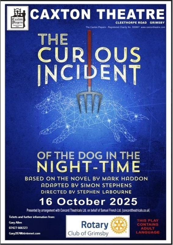 Curious Incident