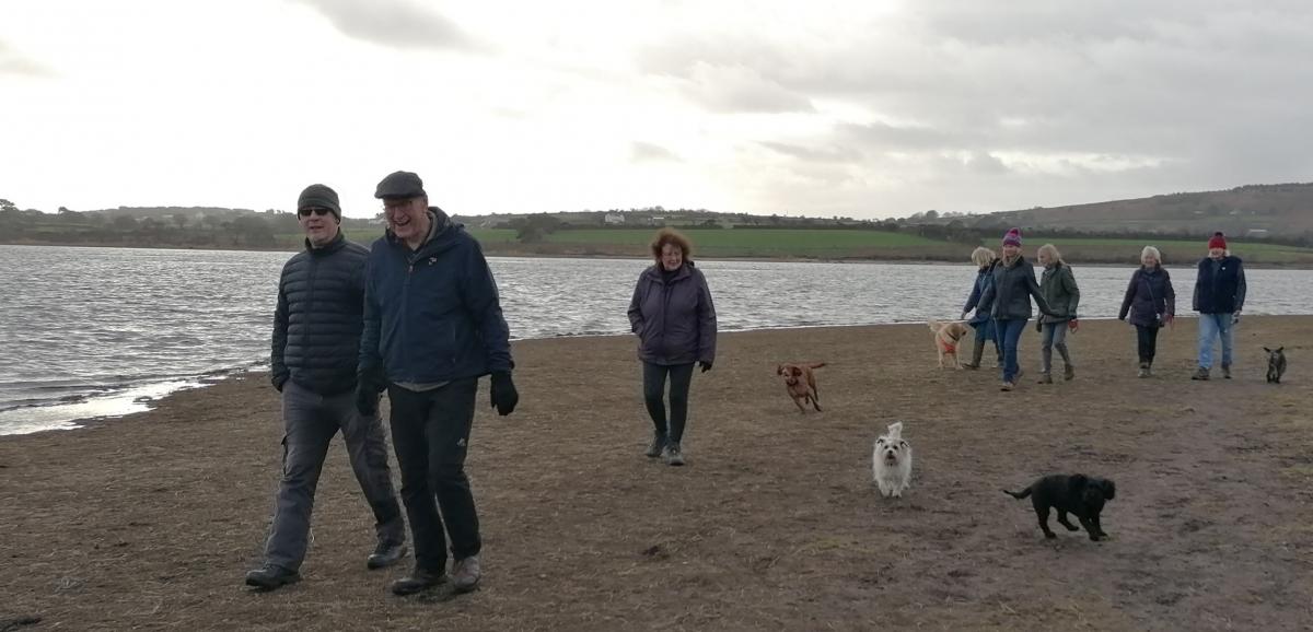 Monthly club walk - Walk at Stithians Reservoir