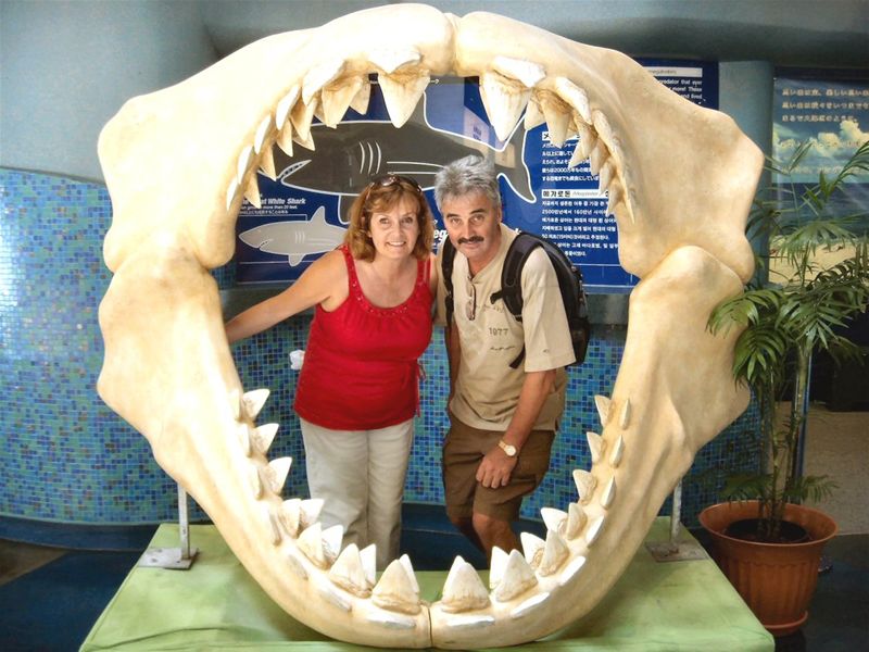 Douglas & Carol Brands our Intrepid Explorers Cruising the Far East