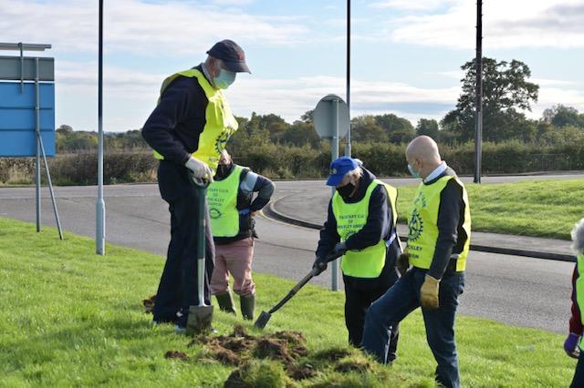 Planting crocus at Hinckley hospital