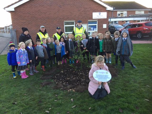 Dane Ghyll School Year 1 planting