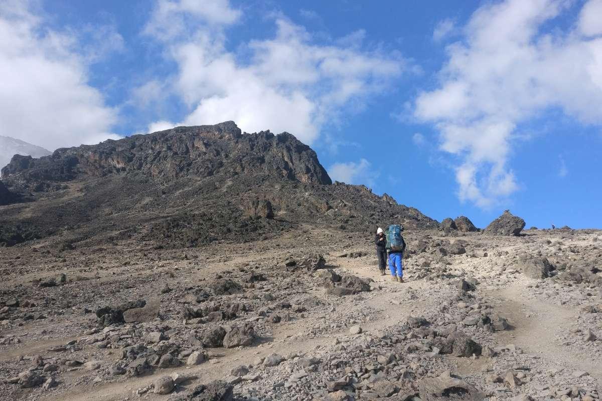 Kilimanjaro - 