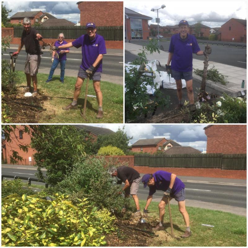 Digging out the roots