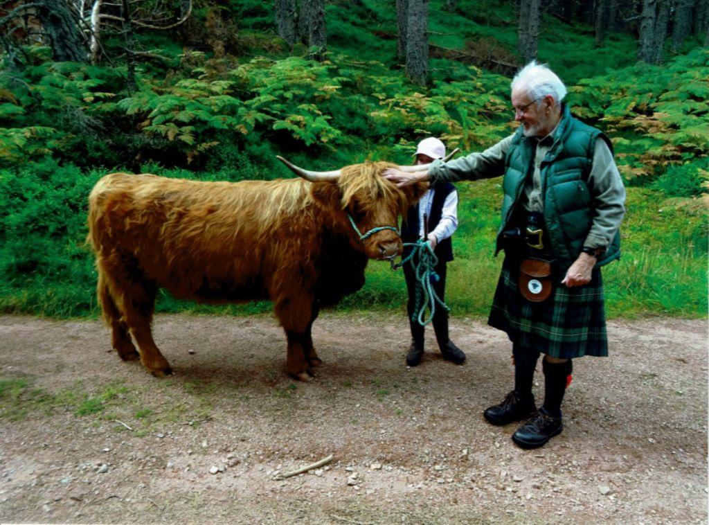 Alex and a fellow walker admire one of the cattle used for the drove. He said he was wondering 