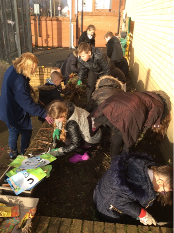 Spent a lovely hour being introduced to this year's Eco-Team @ Quarrybrae, brainstorming some great ideas for 2017, clearing last year's Soup Garden plot & harvesting enough potatoes to give everyone some home-made potato wedges. Roll on Spring !
