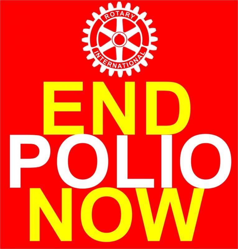 Rotary supports the End Polio Campaign by planting Crocus Corms as a symbol of Rotary's Campaign to eradicate the disease. 
