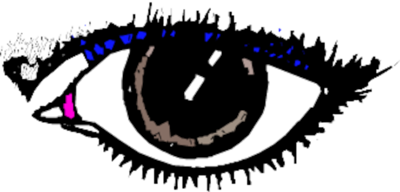 Computer image of a left eye