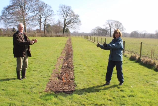 Wirral Hedge & Tree Planting - Job completed, admired by the Presidents of West Wirral and Mid Wirral