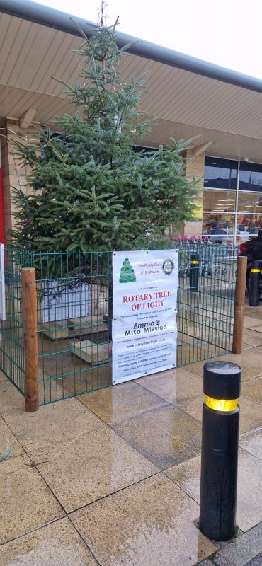 2024 Christmas tree and charity