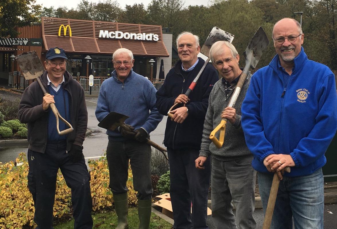 Planting Crocus Bulbs in Matlock