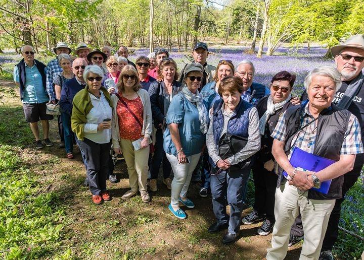 Visit to Enys Gardens to see the bluebells