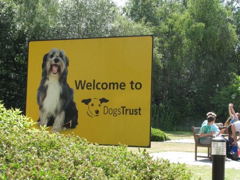 Dogs Trust Summer Open Day and Fun Dog Show 4th August 2013 - Welcome To Dogs Trust
