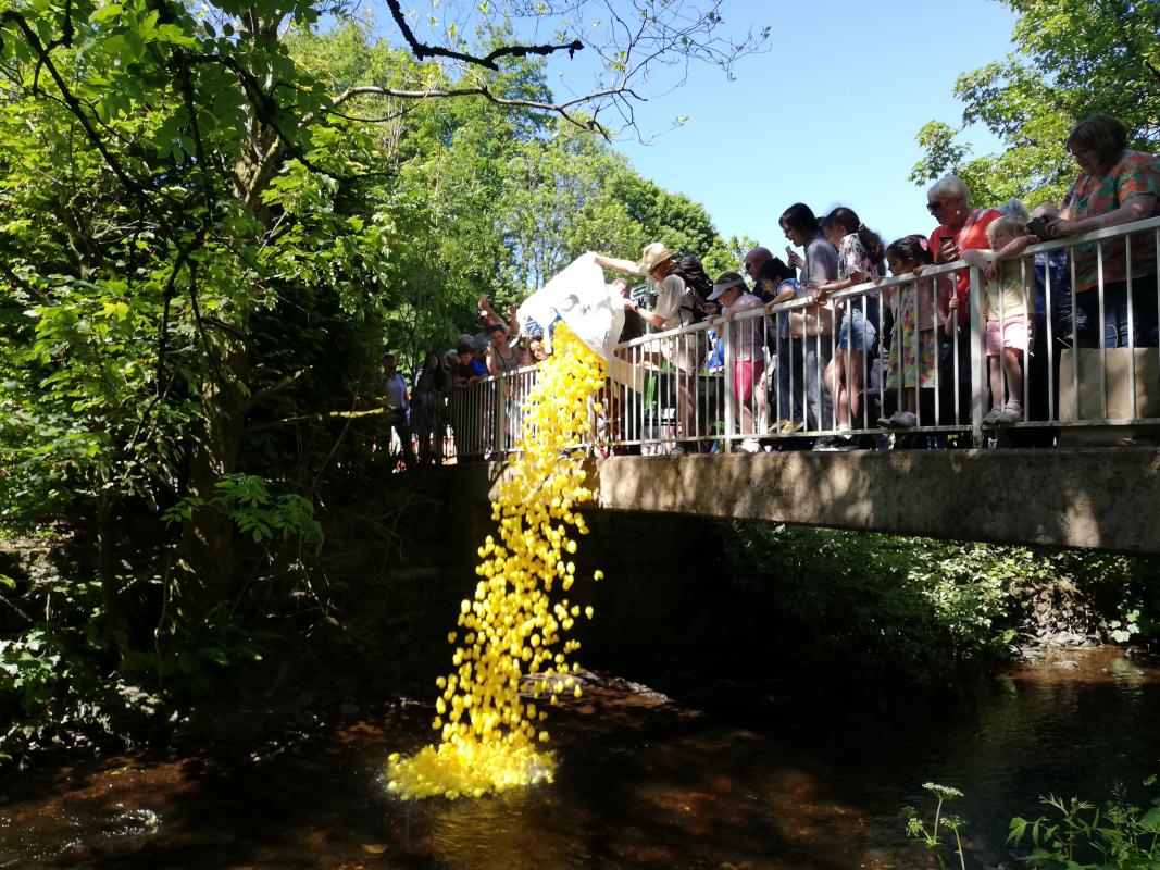 Previous year's duck launch from bridge at Gavin's Mill.