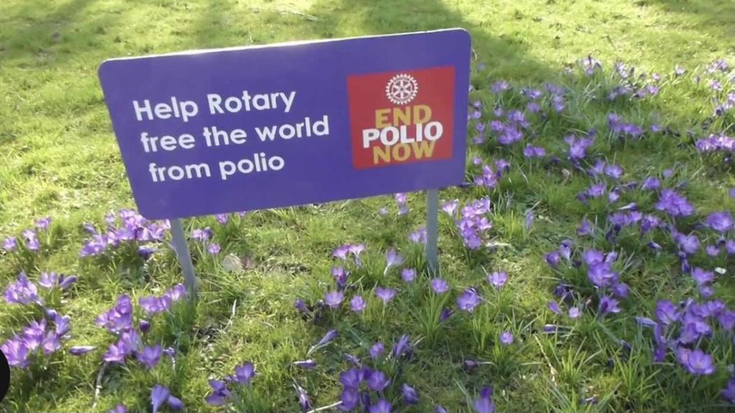 End Polio Now