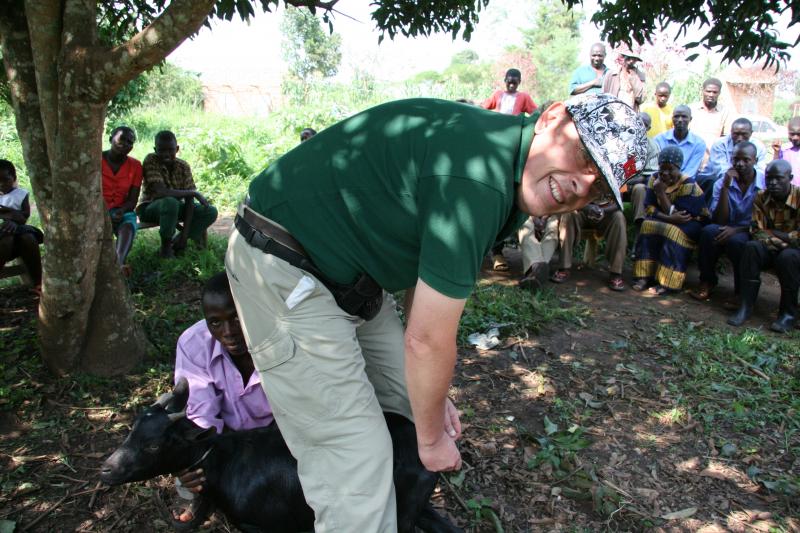 animal husbandry education