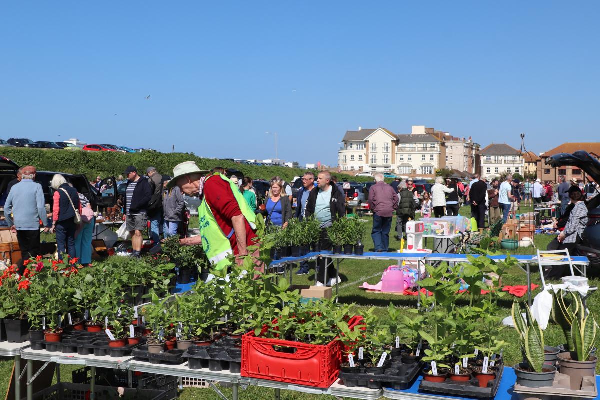 Geoff Lowles checking plants on the Rotary plant stall.

