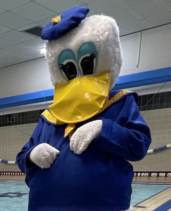 Duck Report Rotary Leyland