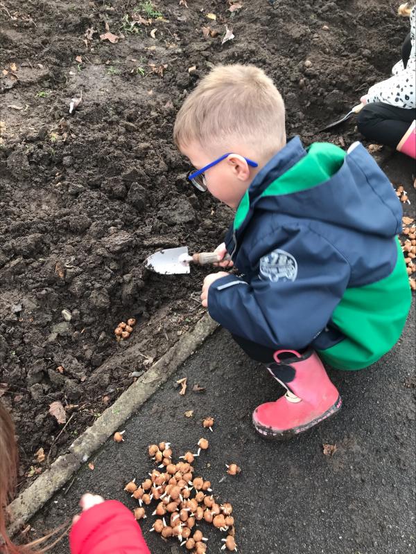 Budding Gardener