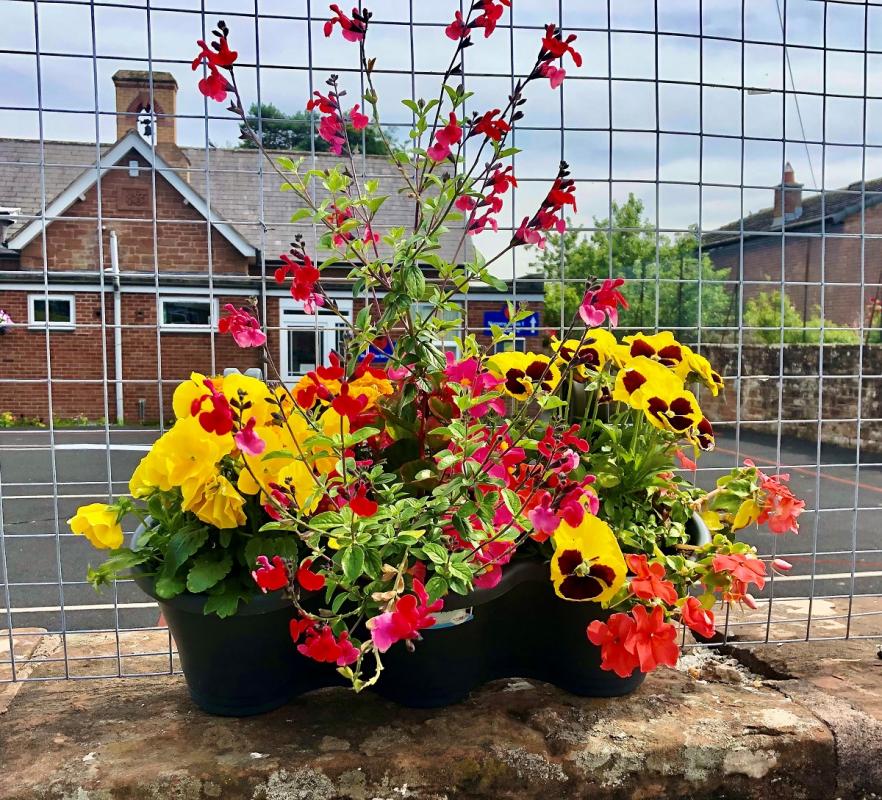 Irthington in Bloom wins silver - The Planters