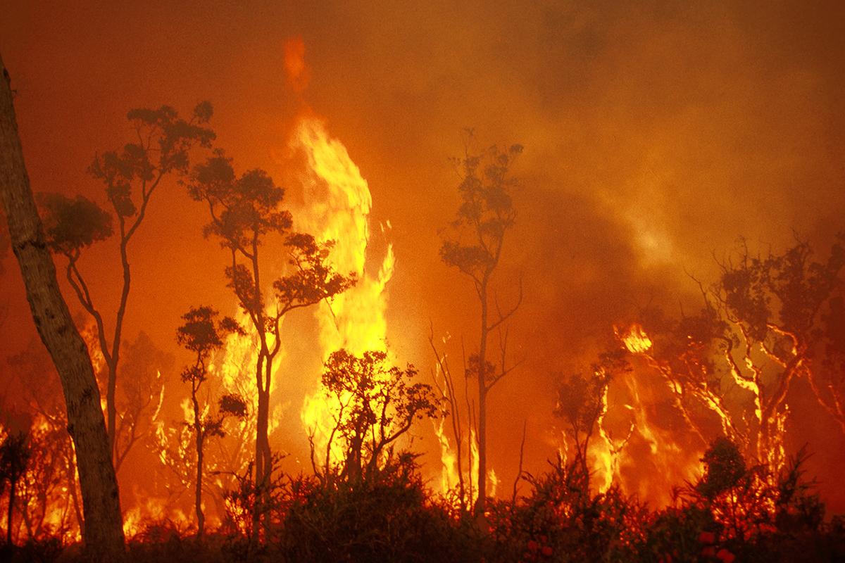 Terrible Fires devastate huge areas