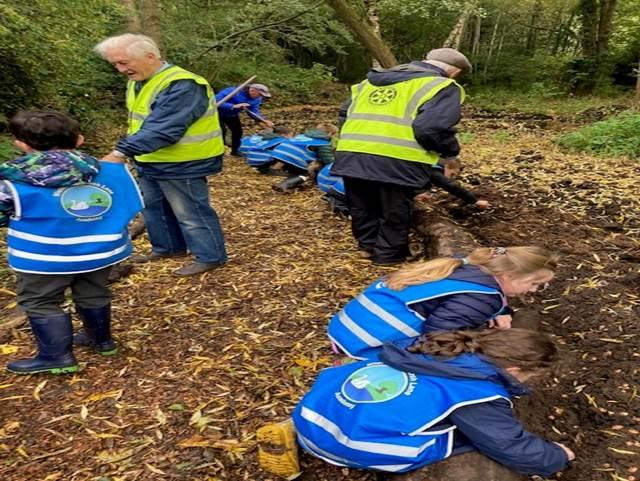 Anew path is being developed by the volunteer park rangers and agreed to allow Crewe Rotary to plant 2000+ purple crocus alongside the path