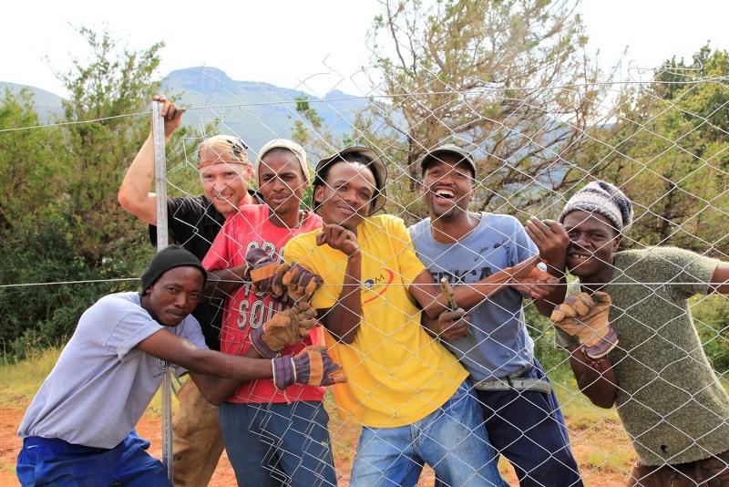 Workers and volunteers erect a fence round the teaching farm in Lesotho