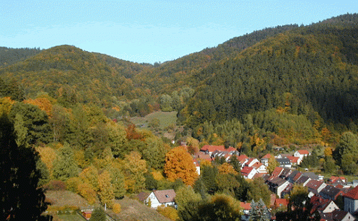 houses in trees