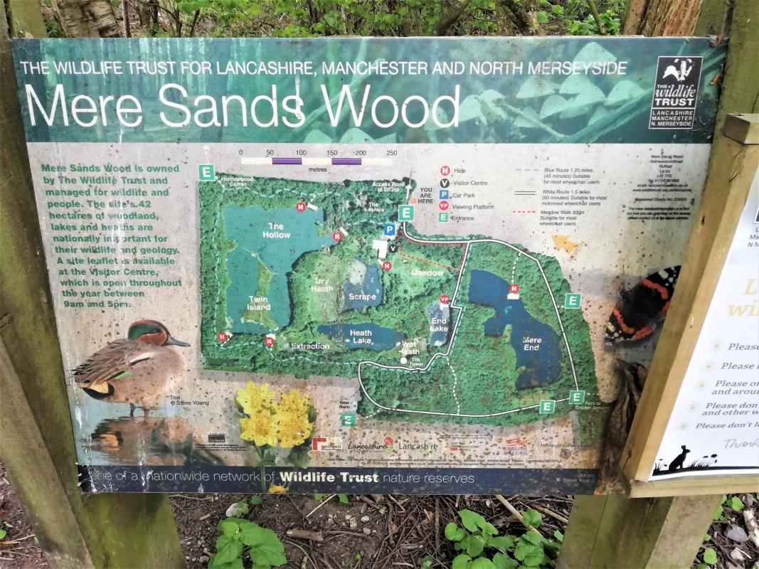 Mere Sands Wood - Mere Sands Wood