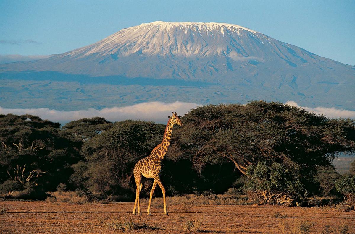 Joy Rivett on Mt. Kilimanjaro - Visitors welcome - 