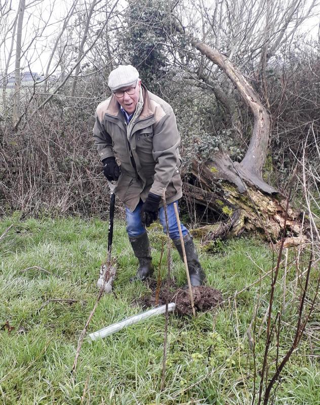 Environment lead Nigel Young planting trees near Chilthorne Domer