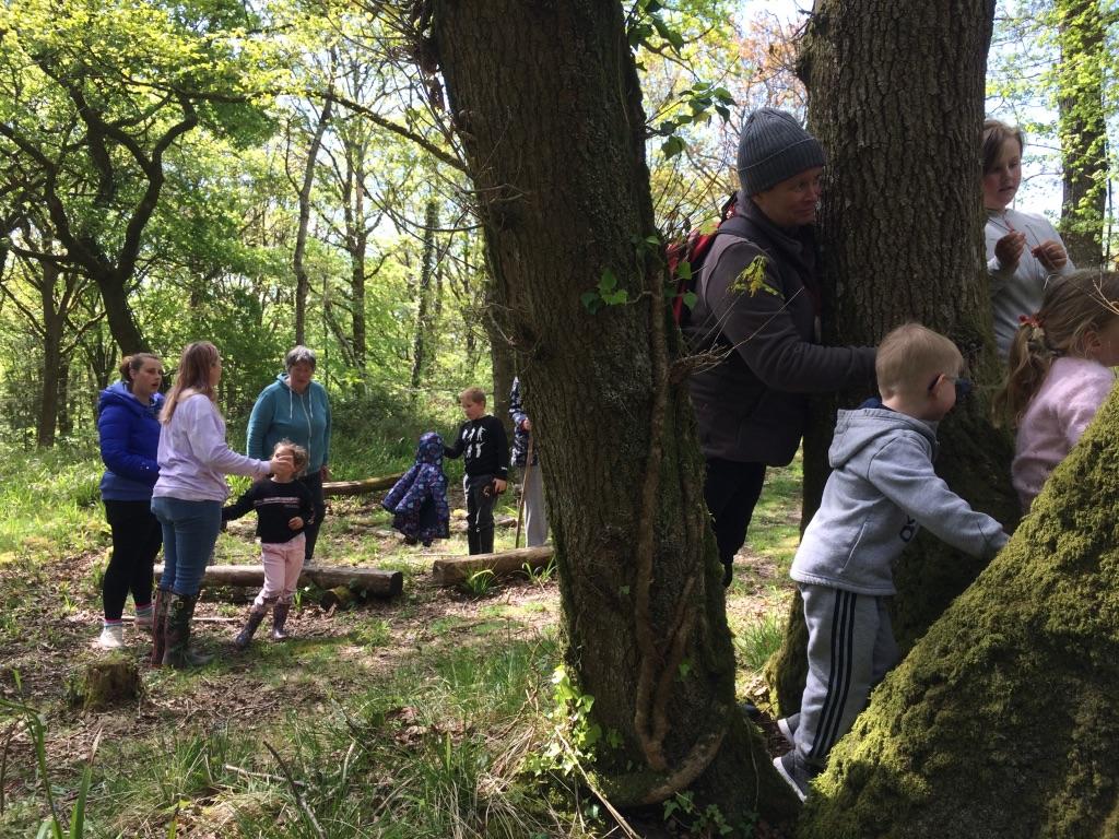 Deep in the Neroche Woodland