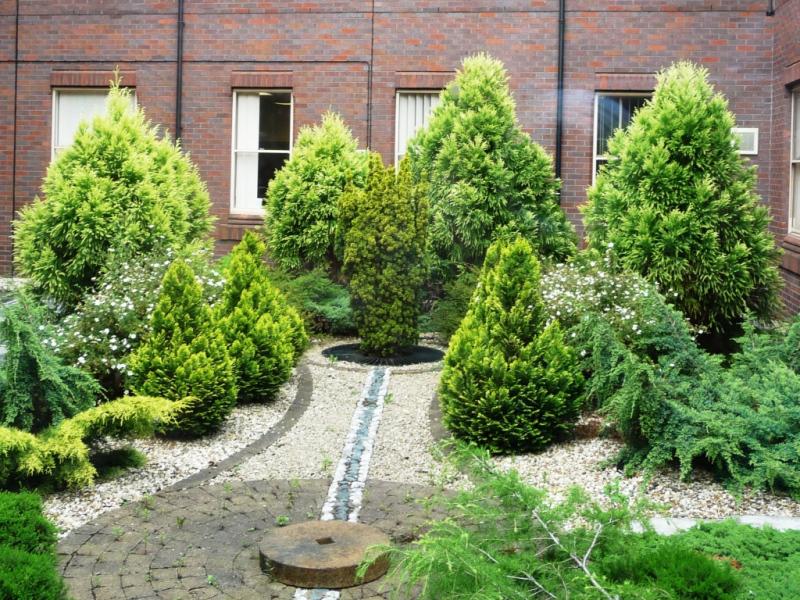 Hospital Gardens - Since 2003 our volunteers have looked after the Shooting Star gardens at the Wrexham Maelor Hospital.