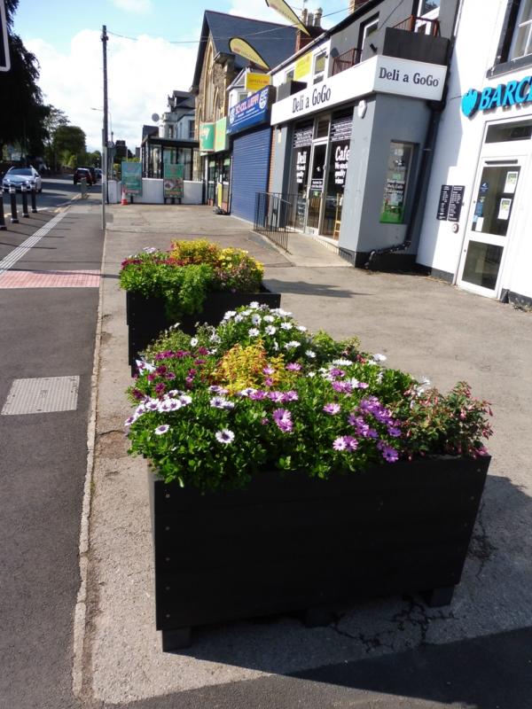 Planters in Whitchurch