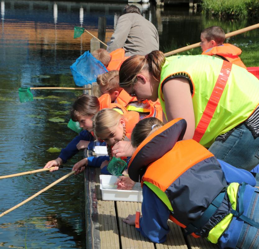 Eager youngsters engaged in pond-dipping with the River Stour Trust