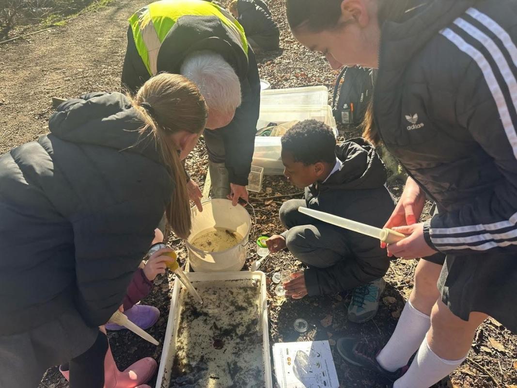 Bug Safari at Fox Hill Bank Nature Reserve