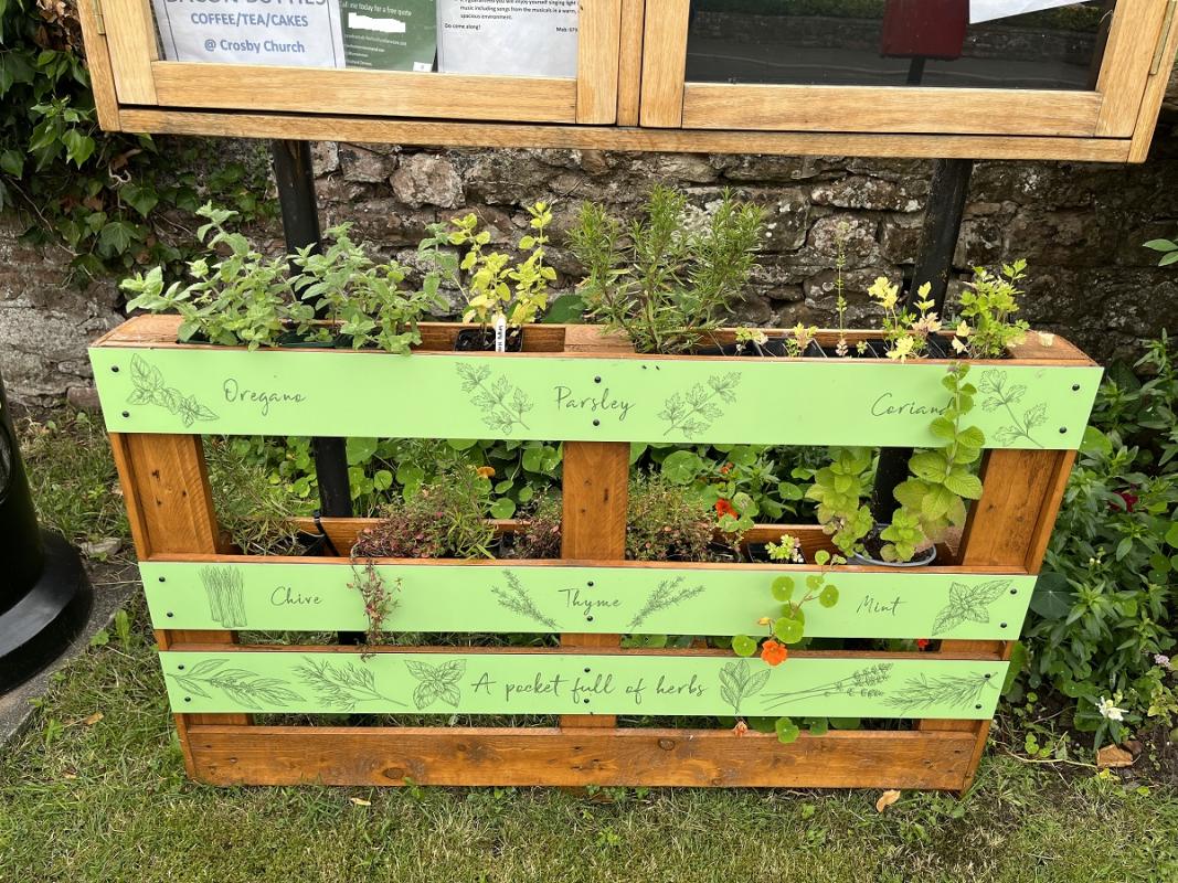 Britain in Bloom Finals - Irthington Village Herb Planter