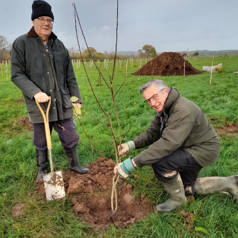 100 Centenary Trees - President David Lewis (right) and Rtn Mike Hellings (left)planting the Centenary Trees